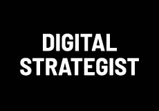 Digital Strategist